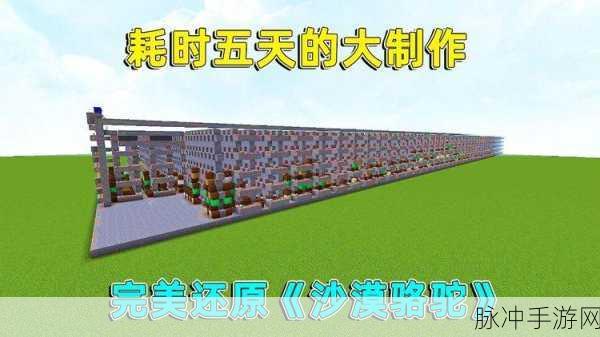 探索我的世界骆驼的饮食之谜,解锁沙漠伙伴的喂养秘籍