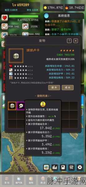 轮回勇者传说,异世界冒险之旅的全面指南
