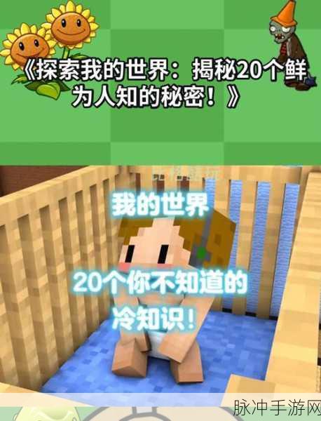 我的世界手游为何无声相伴？揭秘游戏内无法听见他人语音的谜团