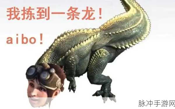 怪物猎人4G表情包,玩家的新宠与欢乐的源泉深度解析