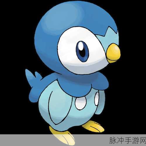 口袋妖怪白金，全面解析如何忘记居合斩