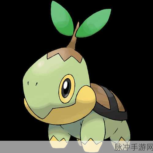 口袋妖怪白金,全面解析如何忘记居合斩
