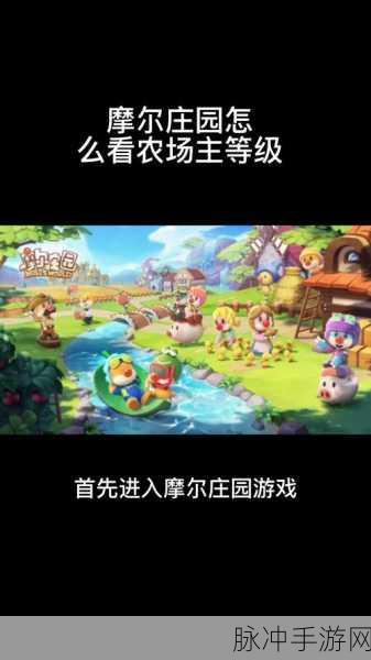 摩尔庄园手游攻略，轻松掌握农场主等级查看方法