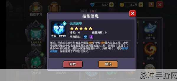 手游攻略大揭秘，我的勇者韶华技能效果全解析与实战策略