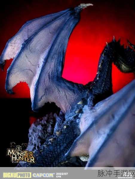 探寻神秘之巅,怪物猎人眩龙位置全面揭秘