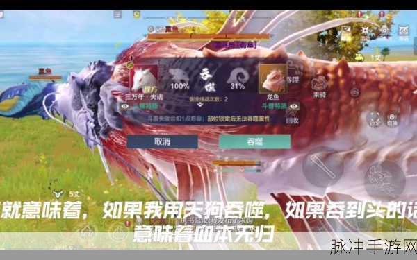 妄想山海坤第二次进化深度解析,揭秘进化背后的战略与变化