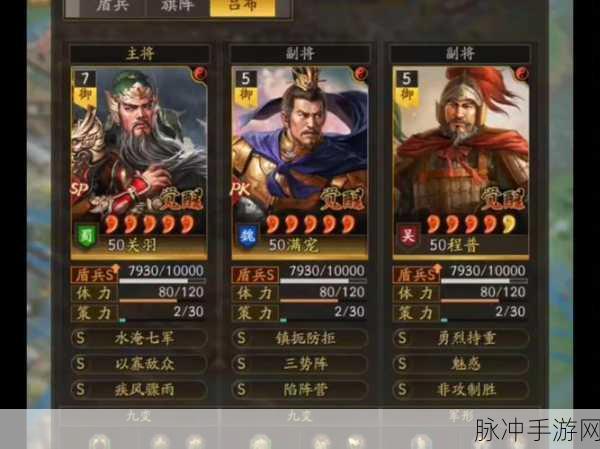 三国志战棋版深度攻略，满宠角色玩法全解析