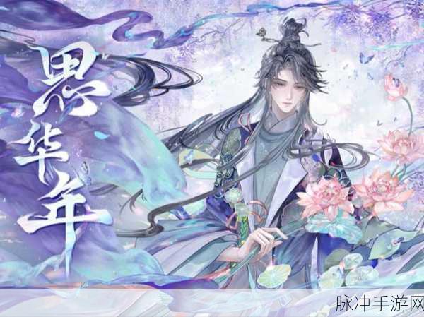 忘川风华录刘柳溅射队深度攻略,配置与战术全面揭秘