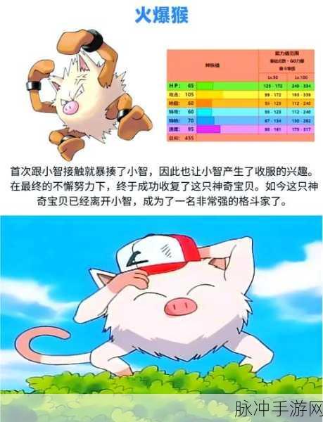 精灵宝可梦手游深度攻略，八大师对决，大吾败给小智是否冤枉？