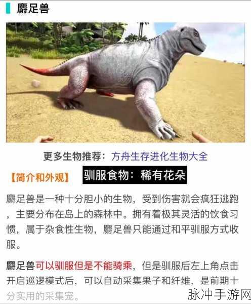 方舟生存进化,深度探索恐龙驯服艺术——精准喂食策略全揭秘