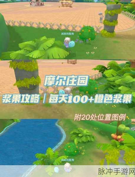 摩尔庄园手游，偷菜与采摘好友农作物全攻略