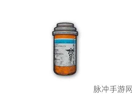 绝地求生刺激战场,背包满载时,饮料与止疼药的选择策略