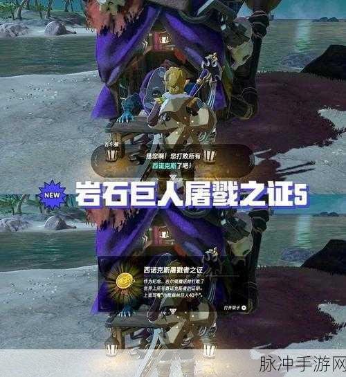 冒险岛2深度攻略,揭秘23个10人副本与黑白石巨人位置