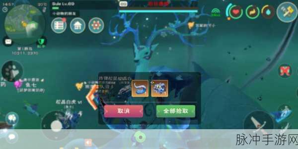 创造与魔法库露娜坐骑孵化攻略详解，全面孵化方法与技巧分享