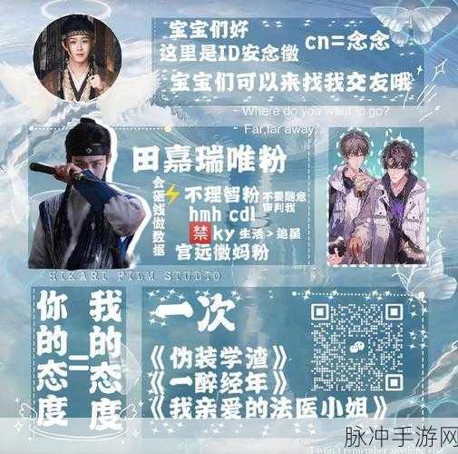 咔叽探险队,官服与渠道服深度对比,助你做出明智选择