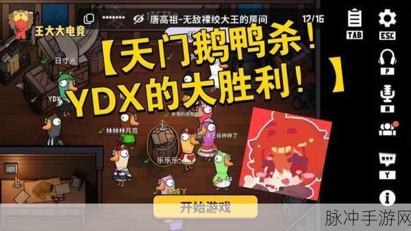 鹅鸭杀手游攻略,揭秘模仿者胜利之道