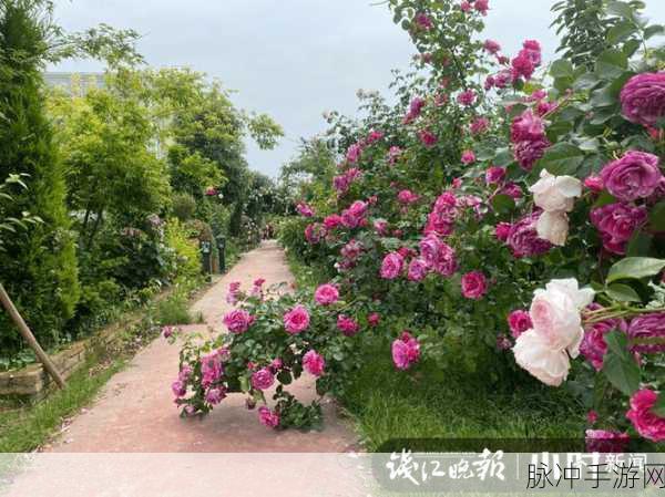 最棒的园丁3D下载,解锁你的绿色梦想,体验极致模拟经营乐趣
