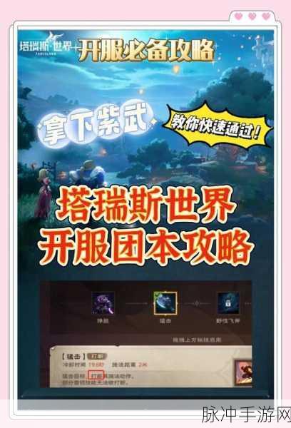 塔瑞斯世界全服高手争霸,揭秘排名查询与竞技细节攻略