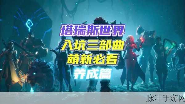 塔瑞斯世界全服高手争霸,揭秘排名查询与竞技细节攻略