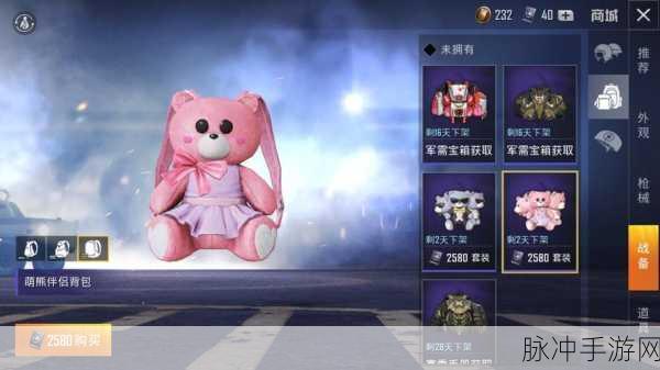 和平精英彩色背包获取攻略，永久背包获得方法全面分享