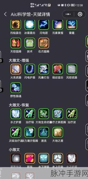 阿拉德之怒念气师深度解析,技能威力与加点策略