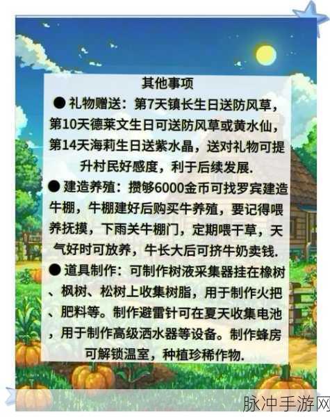 星露谷物语天气预报详解，全面攻略助你掌握天气变化规律