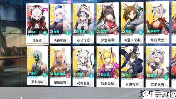 猫之城新手十连选谁最好？全面解析与推荐