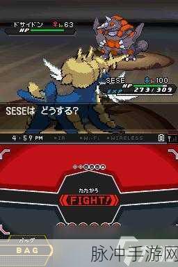 口袋妖怪黑白2汉化版，全面配宠攻略与策略解析