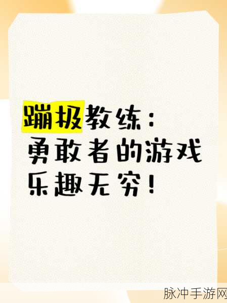 勇敢者的挑战,深入勇敢的竞技场下载体验,解锁动作类游戏的极致乐趣