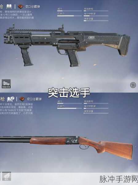 和平精英,深度解析能装四个配件的非瞄准镜武器