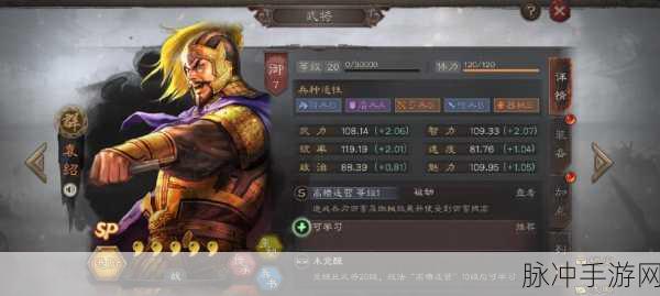 三国志战略版袁绍加点深度攻略,打造全能战将