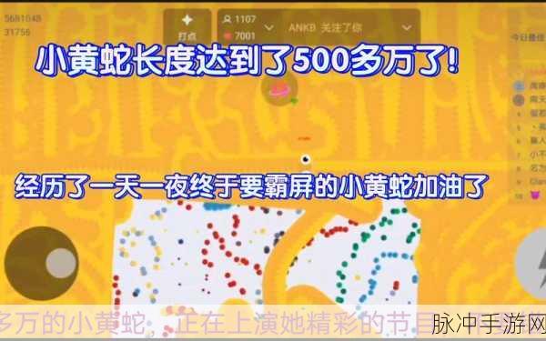 贪吃蛇大作战长度飙升攻略，全方位增长技巧详解