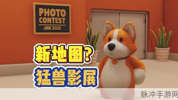 动物朋友展览区下载,探索轻松休闲的漫改收集向手游之旅