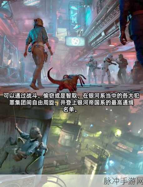 星球大战,亡命之徒深度揭秘,耐用纤维组织荣登顶级装备榜