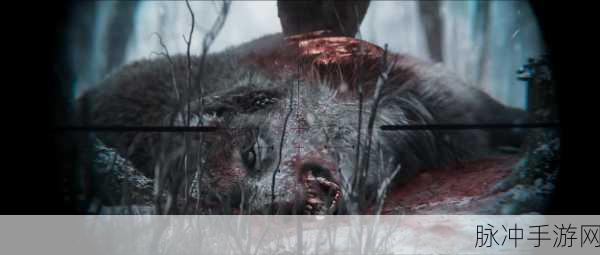 腐烂国度3上市时间或将推迟至2026年，手游公司深度解析与攻略前瞻