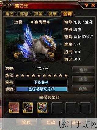 轩辕传奇手游神品坐骑完全解析,华丽图鉴分享,引领奇幻旅程的绝佳伙伴探索之旅