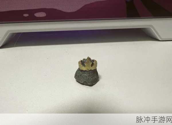 宝可梦大探险,快泳蛙怎么样?快泳蛙详解攻略