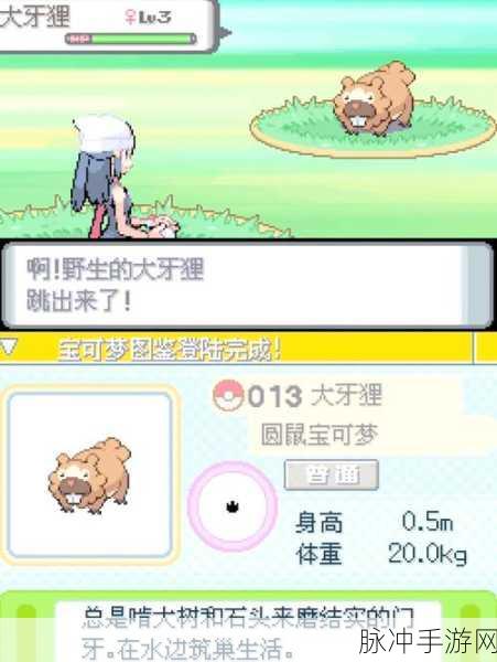 口袋妖怪NDS版本深度攻略，探寻Mega进化的奥秘