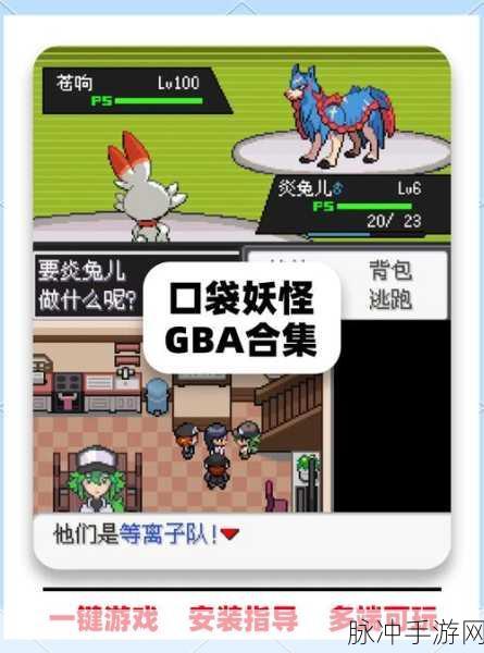 口袋妖怪NDS版本深度攻略，探寻Mega进化的奥秘