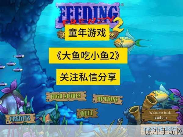 深海奇遇，探索深海大鱼吃小鱼下载的精致画风与无限趣味