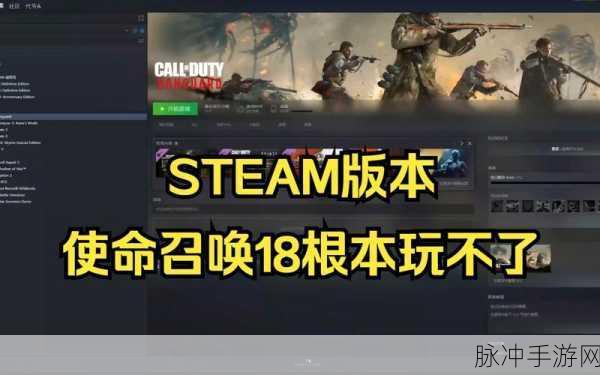 使命召唤14手游攻略,Steam平台购买难题解析