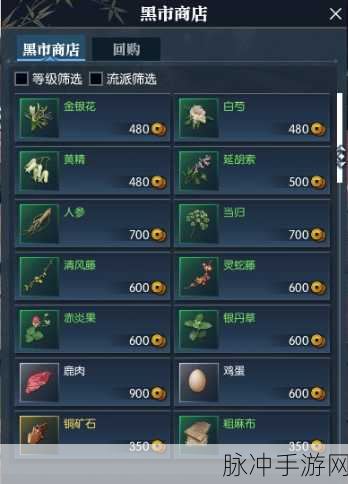 烟雨江湖深度攻略,杭州黑市怎么进与黑市坐标位置详解