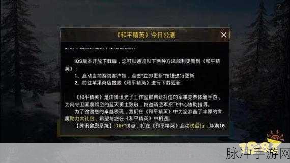 刺激战场改名和平精英的背后原因，游戏转型与策略调整深度探究