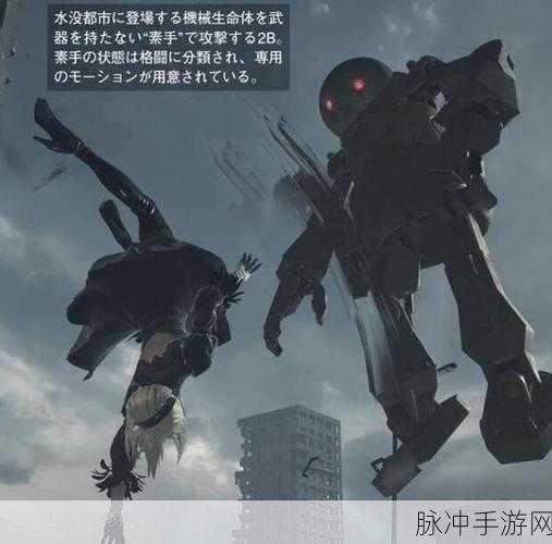 尼尔机械纪元手游攻略，深度解析白之哀伤怎么样及获取方法