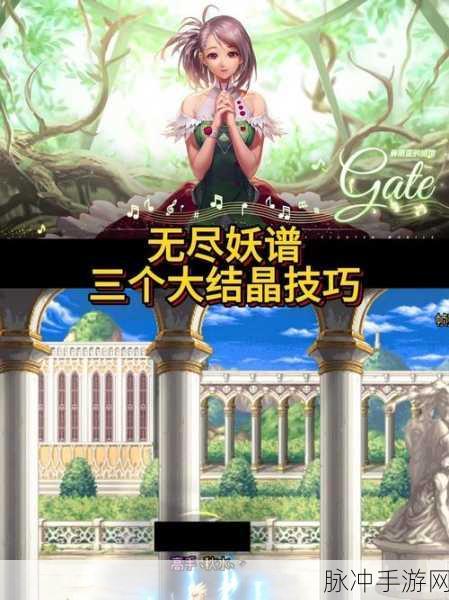 DNF攻略,详解精灵精华与浓烈的灵念结晶体效果及高效利用策略