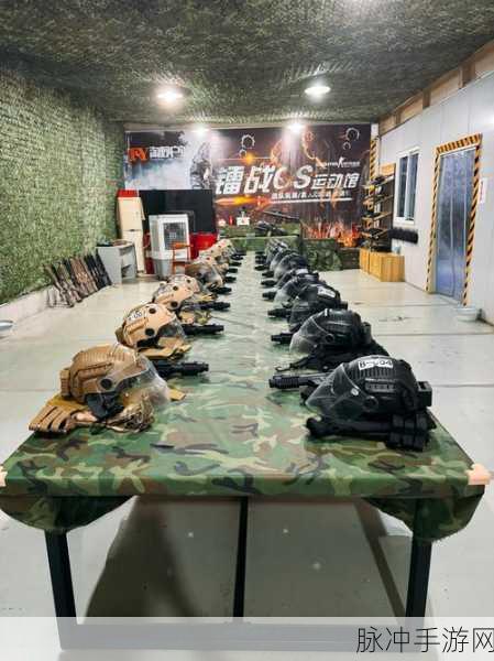 武装突袭2手机版下载,体验极致刺激的枪战盛宴