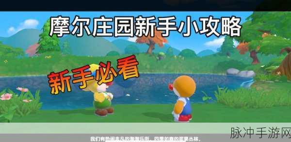 摩尔庄园手游攻略，全面解析如何提升好友亲密度