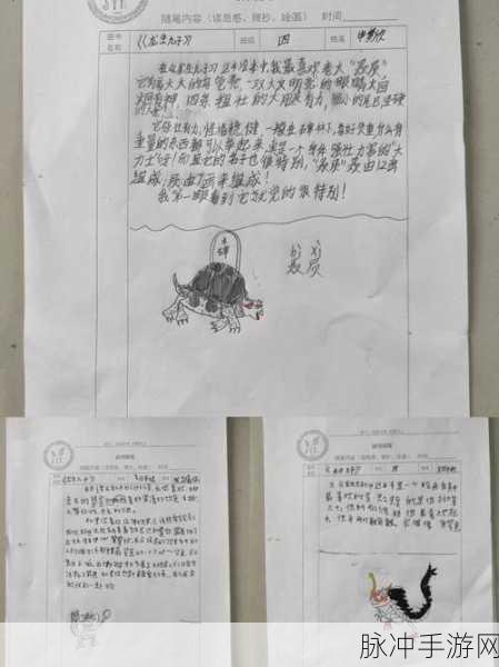 探险者的星辰大海,深入解读方舟探险者笔记坐标图攻略