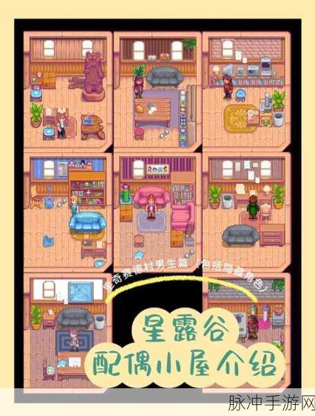 星露谷物语结婚全攻略,打造你的梦幻田园婚礼