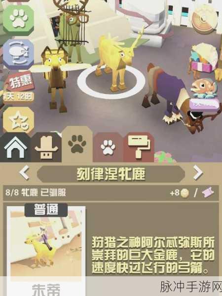 疯狂动物园配对系统深度解析,打造你的梦幻动物园